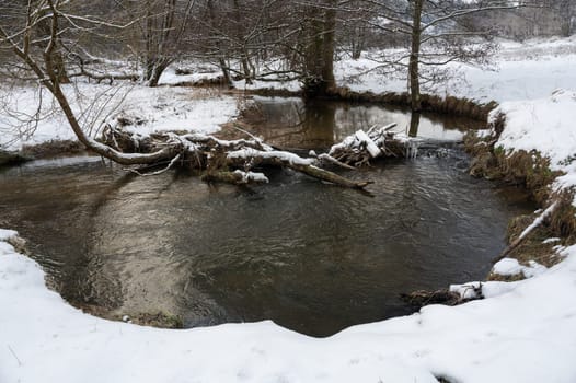 Little Dam built by beavers, damming a small body of water with wood and  snow