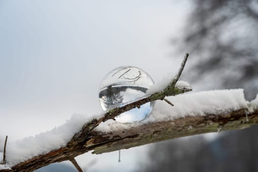 Glass ball on a snow-covered branch on a cold winter day in nature, with reflections of a tree and landscape in the glass
