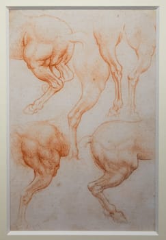 Turin, Italy - April, 2023: Leonardo da Vinci anatomical drawing on handmade cotton paper, about 1510 - Royal Library