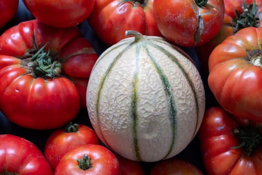 A bunch of red tomatoes and a cantaloupe are piled on top of each other. Concept of abundance and variety