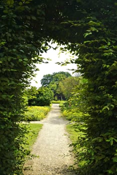 Archway made of plants in summer