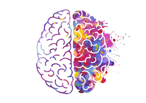 Watercolor brain, left and right hemispheres