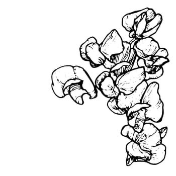 Spring flowers drawing with line-art on white