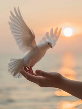 This tranquil scene shows a white dove taking flight from human hands at sunrise, symbolizing new beginnings and the dawning of hope