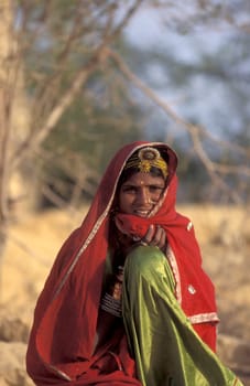 a portrait of a Rajasthani women in the Town of Jaisalmer in the Province of Rajasthan in India.  India, Jaisalmer, January, 1998