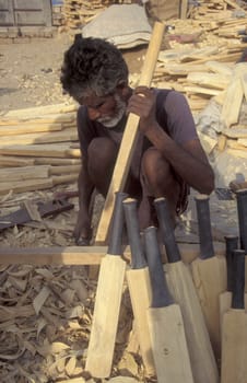 a men is carve Cricket Bats in the Town of Jaisalmer in the Province of Rajasthan in India.  India, Jaisalmer, January, 1998