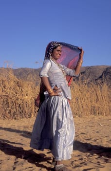 a portrait of a Rajasthani women in the Town of Jaisalmer in the Province of Rajasthan in India.  India, Jaisalmer, January, 1998