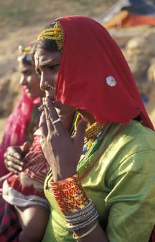 a portrait of a Rajasthani women in the Town of Jaisalmer in the Province of Rajasthan in India.  India, Jaisalmer, January, 1998