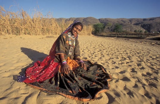 a portrait of a Rajasthani women in the Town of Jaisalmer in the Province of Rajasthan in India.  India, Jaisalmer, January, 1998