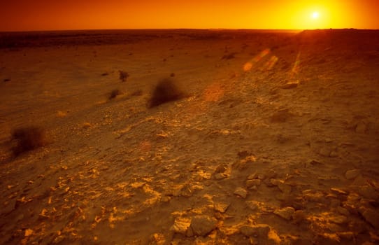 a sunset in the Thar Desert near the Town of Jaisalmer in the Province of Rajasthan in India.  India, Jaisalmer, January, 1998