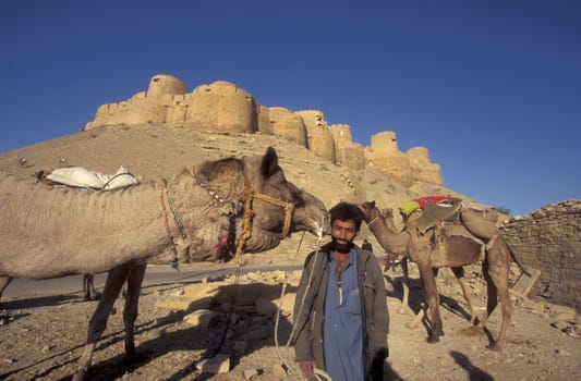 a Farmer with two camel in front of the Jaisalmer Fort in the old Town of Jaisalmer in the Province of Rajasthan in India.  India, Jaisalmer, January, 1998