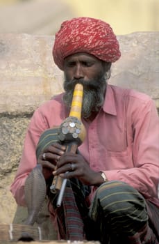 a snake charmer play music in front of cobra snake in the city of Jaisalmer in the Province of Rajasthan in India.  India, Jaisalmer, January, 1998