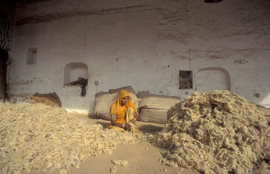 Working People in a Camel wool spinning Factory in the City of Jaisalmer in the Province of Rajasthan in India.  India, Jaisalmer, January, 1998