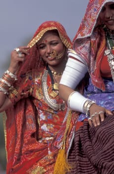 a portrait of a Rajasthani women in the Town of Jaisalmer in the Province of Rajasthan in India.  India, Jaisalmer, January, 1998