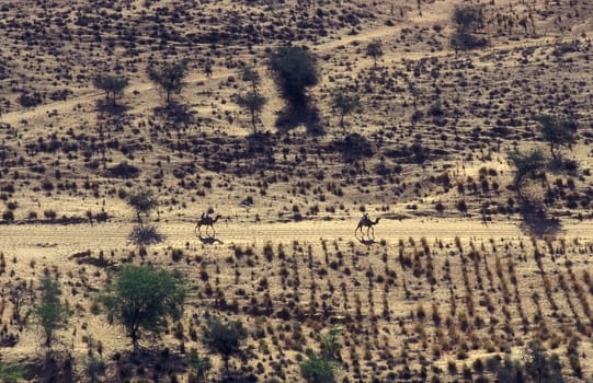 a Farmer with his Camel in the Thar Desert near the Town of Jaisalmer in the Province of Rajasthan in India.  India, Jaisalmer, January, 1998