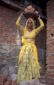 a Rajasthani women at a construction work in the Town of Jaisalmer in the Province of Rajasthan in India.  India, Jaisalmer, January, 1998