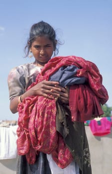 a women at her Laundry homework on a rooftop in the City of Jaisalmer in the Province of Rajasthan in India.  India, Jaisalmer January, 1998