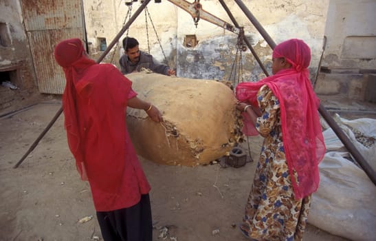 Working People in a Camel wool spinning Factory in the City of Jaisalmer in the Province of Rajasthan in India.  India, Jaisalmer, January, 1998