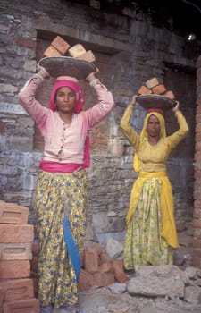 two Rajasthani women at a construction work in the Town of Jaisalmer in the Province of Rajasthan in India.  India, Jaisalmer, January, 1998