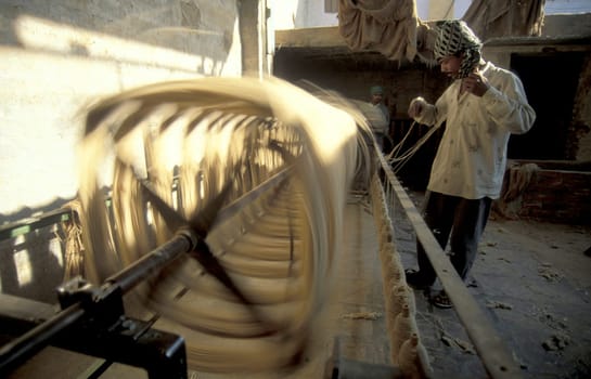 Working People in a Camel wool spinning Factory in the City of Jaisalmer in the Province of Rajasthan in India.  India, Jaisalmer, January, 1998