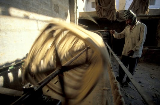 Working People in a Camel wool spinning Factory in the City of Jaisalmer in the Province of Rajasthan in India.  India, Jaisalmer, January, 1998
