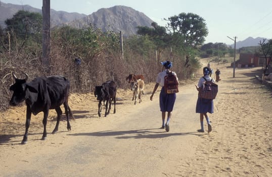 School Children on a street in the Town of Jaisalmer in the Province of Rajasthan in India.  India, Jaisalmer, January, 1998