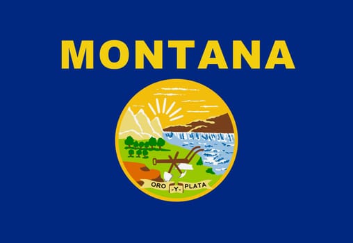 A Montana State Flag background illustration