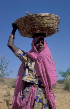 a portrait of a Rajasthani women in the Town of Jaisalmer in the Province of Rajasthan in India.  India, Jaisalmer, January, 1998