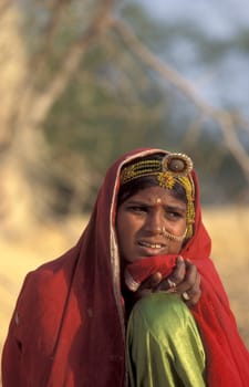 a portrait of a Rajasthani women in the Town of Jaisalmer in the Province of Rajasthan in India.  India, Jaisalmer, January, 1998