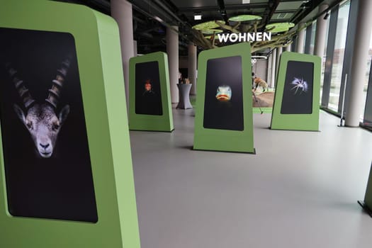 The exhibition,opening of the Embassy of Wildlife in Hafencity,Hamburg,30.08.2024
