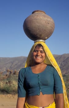 a portrait of a Rajasthani women in the Town of Jaisalmer in the Province of Rajasthan in India.  India, Jaisalmer, January, 1998