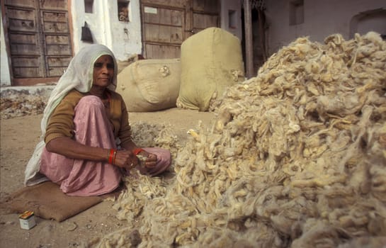 Working People in a Camel wool spinning Factory in the City of Jaisalmer in the Province of Rajasthan in India.  India, Jaisalmer, January, 1998