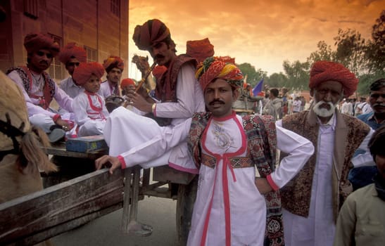 a camel herder in traditional Rajasthani dress at the Bikaner Camel Festival in the Town of Bikaner in the Province of Rajasthan in India.  India, Bikaner, January, 1998