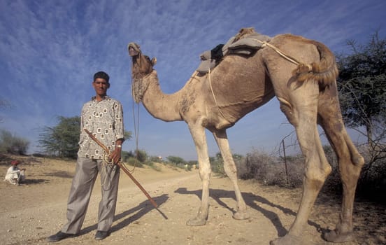 a camel herder at the Bikaner Camel Festival in the Town of Bikaner in the Province of Rajasthan in India.  India, Bikaner, January, 1998