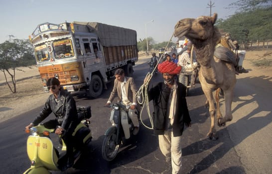 a Farmer with his Camel on a road in the Town of Bikaner in the Province of Rajasthan in India.  India, Jaisalmer, January, 1998