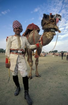 a camel herder in traditional Rajasthani dress at the Bikaner Camel Festival in the Town of Bikaner in the Province of Rajasthan in India.  India, Bikaner, January, 1998