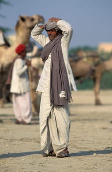 a camel herder at the Bikaner Camel Festival in the Town of Bikaner in the Province of Rajasthan in India.  India, Bikaner, January, 1998