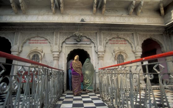 Inside of the Karni Mata Rat Temple in the Town of Deshnoke in the Province of Rajasthan in India.  India, Bikaner, January, 1998