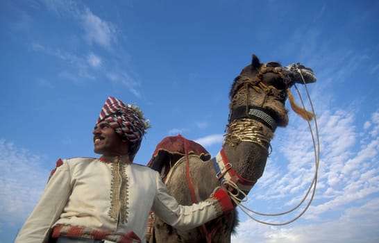 a camel herder in traditional Rajasthani dress at the Bikaner Camel Festival in the Town of Bikaner in the Province of Rajasthan in India.  India, Bikaner, January, 1998