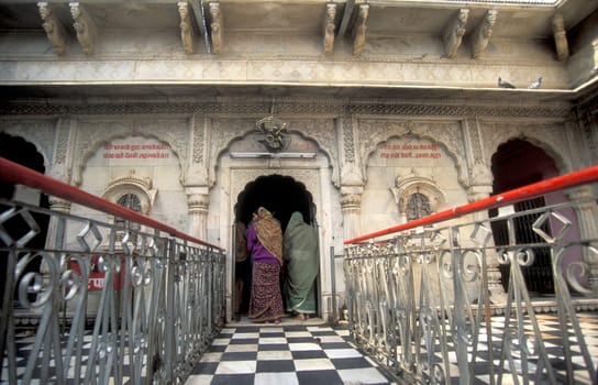 Inside of the Karni Mata Rat Temple in the Town of Deshnoke in the Province of Rajasthan in India.  India, Bikaner, January, 1998