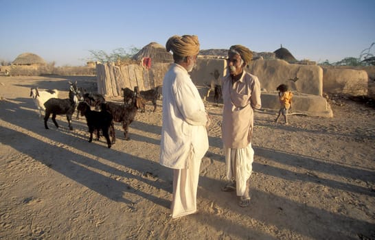 Old Rajasthani Men in a small Village near the Town of Bikaner in the Province of Rajasthan in India.  India, Bikaner, January, 1998