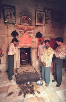 Inside of the Karni Mata Rat Temple in the Town of Deshnoke in the Province of Rajasthan in India.  India, Bikaner, January, 1998