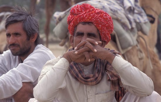 a camel herder at the Bikaner Camel Festival in the Town of Bikaner in the Province of Rajasthan in India.  India, Bikaner, January, 1998