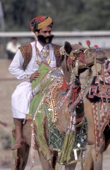 a camel herder in traditional Rajasthani dress at the Bikaner Camel Festival in the Town of Bikaner in the Province of Rajasthan in India.  India, Bikaner, January, 1998