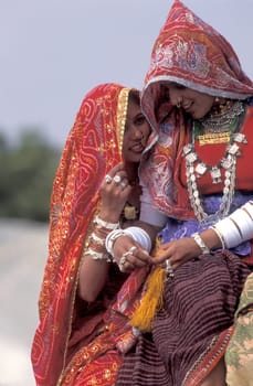 Women in traditional Rajasthani dress on a Camel at the Bikaner Camel Festival in the Town of Bikaner in the Province of Rajasthan in India.  India, Bikaner, January, 1998