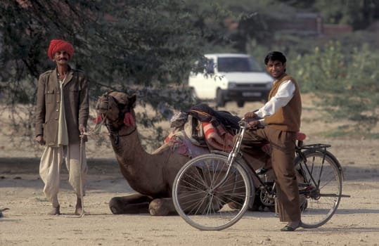 a camel herder at the Bikaner Camel Festival in the Town of Bikaner in the Province of Rajasthan in India.  India, Bikaner, January, 1998