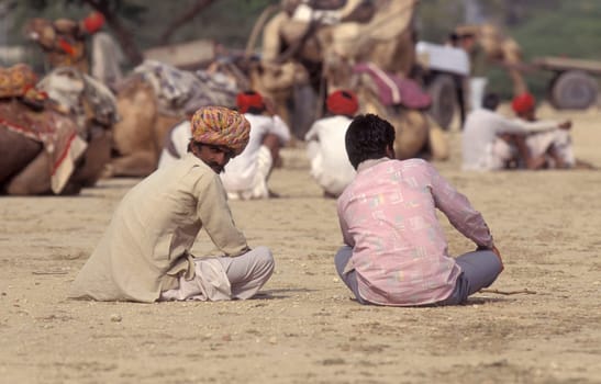 a camel herder at the Bikaner Camel Festival in the Town of Bikaner in the Province of Rajasthan in India.  India, Bikaner, January, 1998