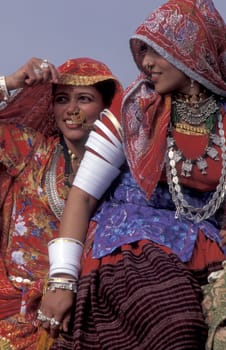 Women in traditional Rajasthani dress on a Camel at the Bikaner Camel Festival in the Town of Bikaner in the Province of Rajasthan in India.  India, Bikaner, January, 1998