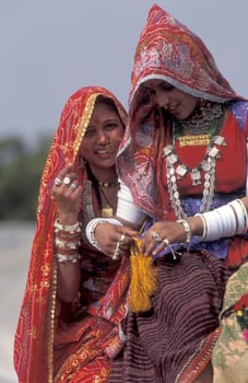 Women in traditional Rajasthani dress on a Camel at the Bikaner Camel Festival in the Town of Bikaner in the Province of Rajasthan in India.  India, Bikaner, January, 1998