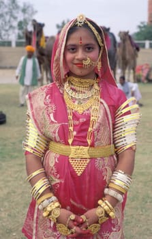 Women in traditional Rajasthani dress at the Bikaner Camel Festival in the Town of Bikaner in the Province of Rajasthan in India.  India, Bikaner, January, 1998